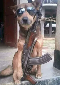 سرباز داعش