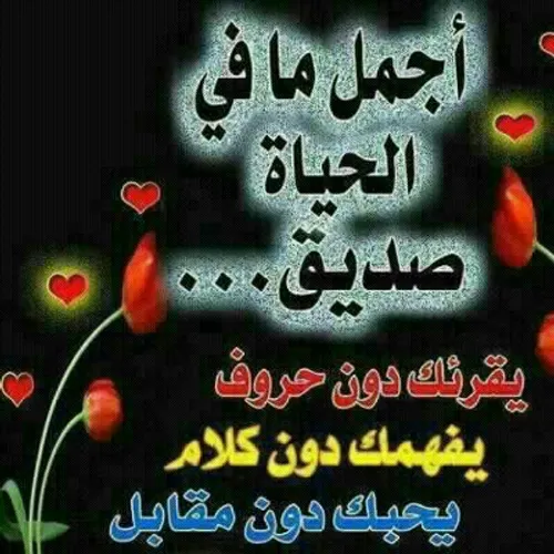 آنه بخیر بس موزین