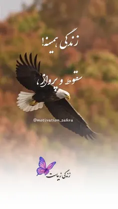 گاهی زندگی با تلخی‌ها امتحان‌مون می‌کنه، با اشک‌ها قوی‌تر