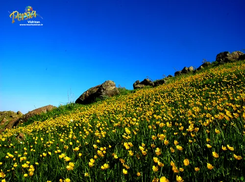 طبیعت ایران .