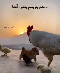 اومدم بنويسم بعضي از آدمها 