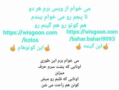 می خوام از ویس برم 