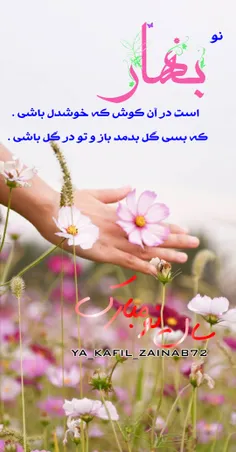 #عکس_نوشته #خلاقانه #ایده