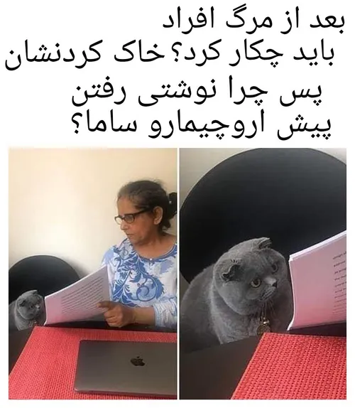 یعنی جرررر خوردم:/