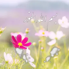 السلام علی المهدی عجل الله 
