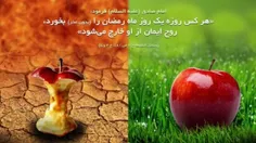 کلام امام صادق علیه‌السلام