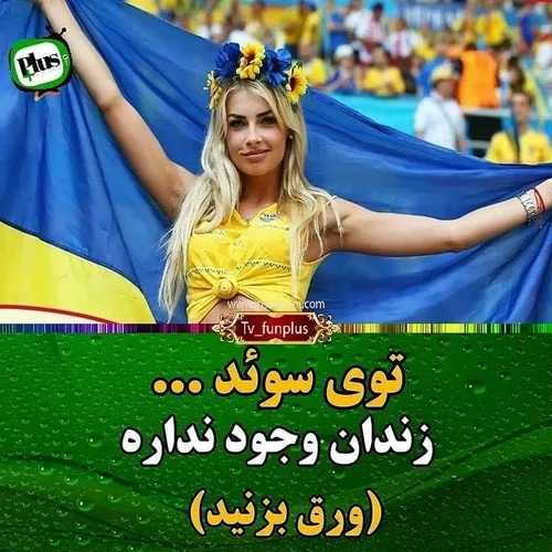  alirezameshkate 39026469 - عکس ویسگون