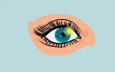 قرنیه شما - لایه بیرونی شفاف چشم شما - دارای شش لایه است،