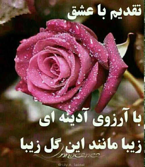 دلدارت دلگیره ،نباشی میمیره