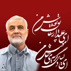 ای علمدار شقایق پوش من ؛