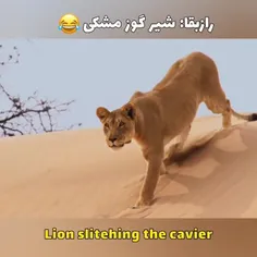 😂