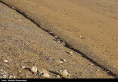 آلودگی نفتی در سواحل بندر ماهشهر 