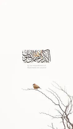 أَلَا بِذِکْرِ اللَّهِ تَطْمَئِنُّ الْقُلُوبُ #Wallpaper