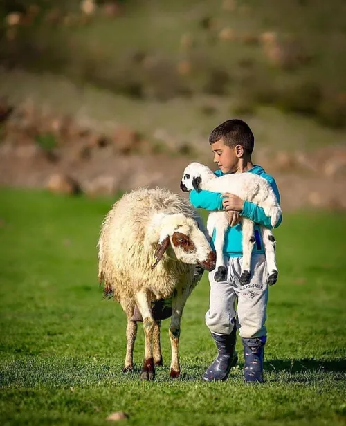 غیر از بانک های معمولی نوع دیگری بانک وجود دارد به نام