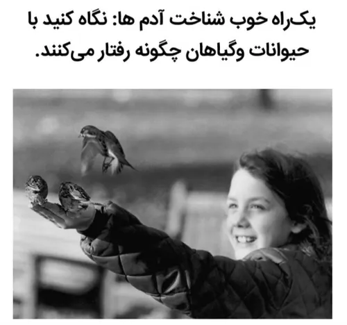 متن حیوانات علاقه مهر محبت عطوفت گیاهان شیراز رواشناس شقا