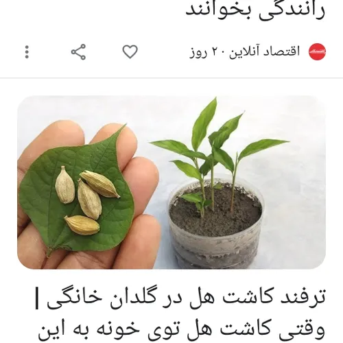 باسلام