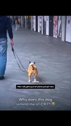 حق