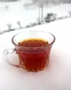 زندگی بهشت است