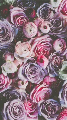 💎 #Wallpaper 🌹 #Floral