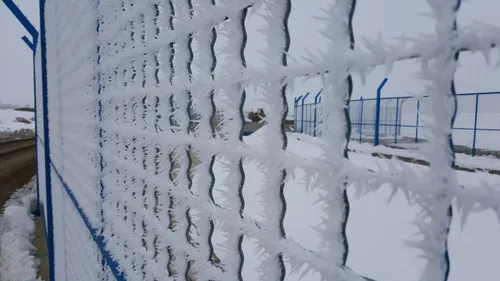 جلوه ای زیبا از زمستان