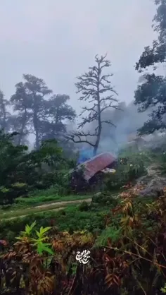 تو باران را دیده ای؟