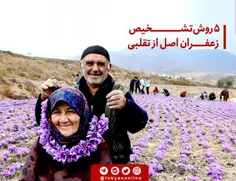 ۵ روش تشخیص زعفران اصل از تقلبی