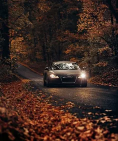 #car #Road #Autumn Leaves