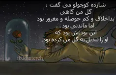 شازده کوچولو :)