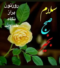 گوناگون mahdireza179 33368645