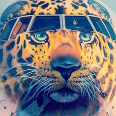 😍 🐆 🛩 👌