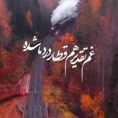 دنیای ماکو......