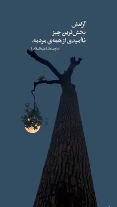 آرام بخش ترین 