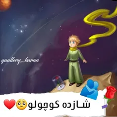 شازده کوچولو 