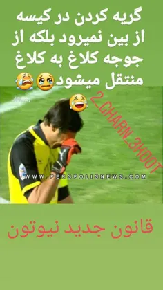 سرتو بالاکن پنگوئن یه نگاه به ما کن پنگوئن😂 😂 😂 😂