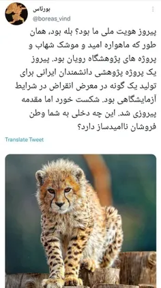 #برای_ایرانم 