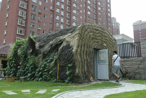توالت عمومی درختی در جیلین چین
