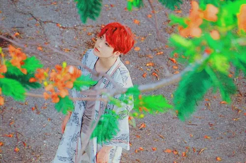 BTS 😽 🌹 🍃