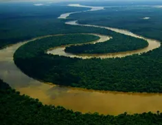 آب رودخانه آمازون به قدری تمیز است که از آبریز رود به اقی