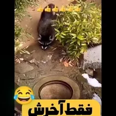 دلتون شاد لبتون خندون🤭🙈