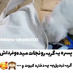 نام سریال : یک ارزو کن