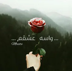 عشقولی...