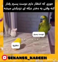 توقع کمی دارید شما دخترا این که چیزی نی 😂😂               