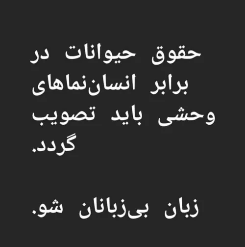 حیوان آزاری بدست شهرداری حیوان آزاری کشتار با اسید کشتار 