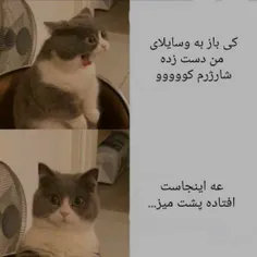 شمام اینجورین؟😂😐