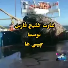 غارت بزرگ خلیج فارس، روحانی مچکریم