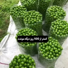 وایی میخواممم