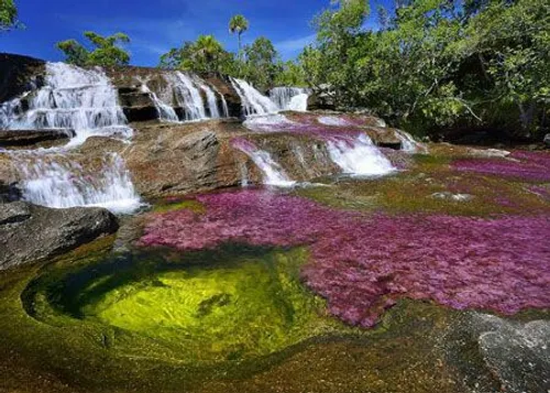 رودخانه رنگین کمان درکلمبیا