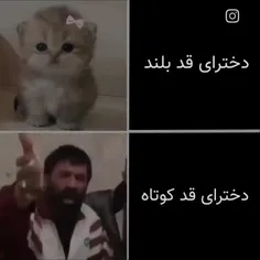 [ قد بلندا جنبه داشته باشین ]