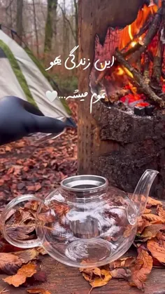 کلید خوردن سپیدار هر صبح بهانه یست برای شروعی نو،... 