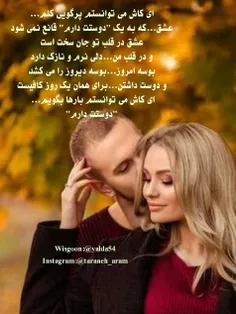 ای کاش می توانستم پرگویی کنم...